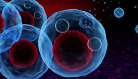 Exosomes-flowersmedical2